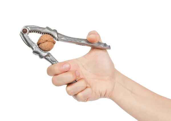 Hand knackt eine Walnuss mit Nussknacker aus Metall — Stockfoto