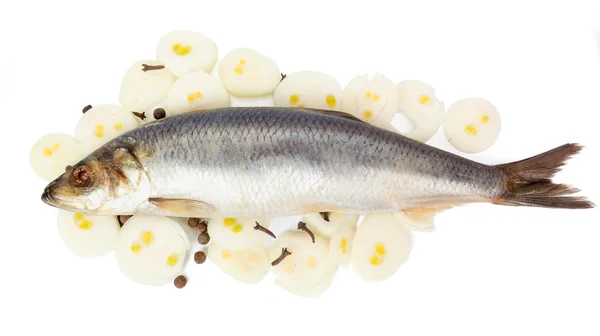 Soğan ve baharatlar ile ringa balığı — Stok fotoğraf