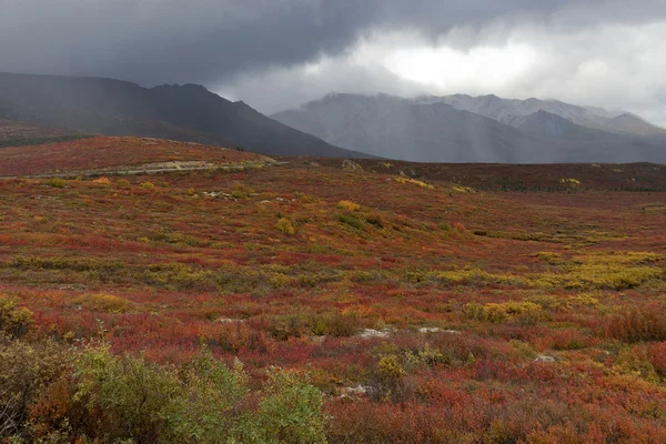 Tempête Tonnerre Dans Parc National Denali — Photo