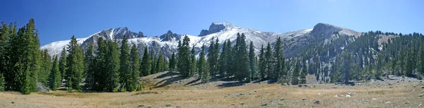 Wheeler Peak Great Basin Nationalpark Nevada — Stockfoto