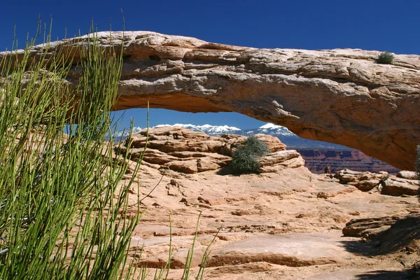 Mesa Arch 2 — Stockfoto