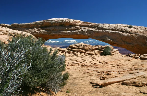 Mesa Arch 1 — Stockfoto