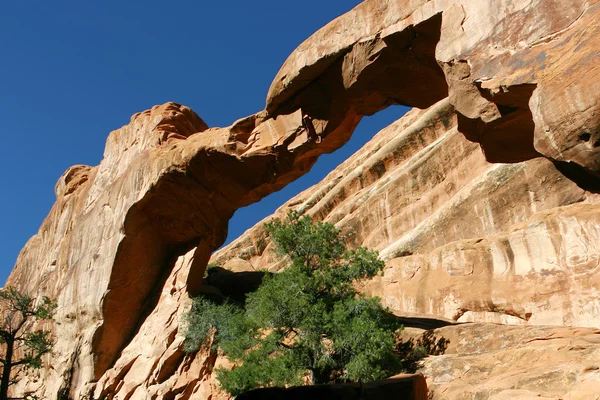 Wall Arch Nel Parco Nazionale Degli Archi Utah — Foto Stock