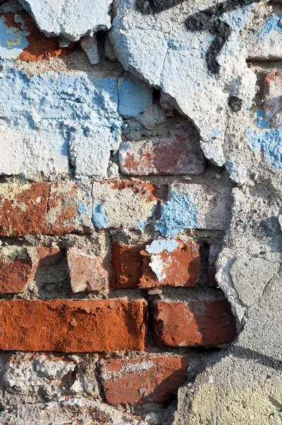 stock image Texture wall brick