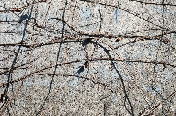 Struttura della parete e asfalto con vignetta — Foto Stock