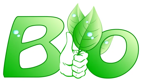 Bio-Blätter — Stockvektor