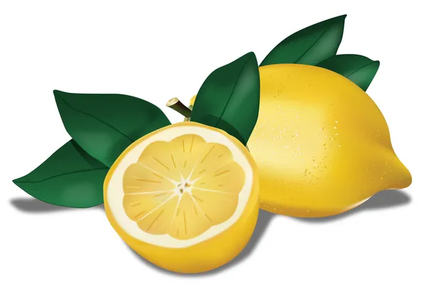 Биологический лимон — стоковый вектор