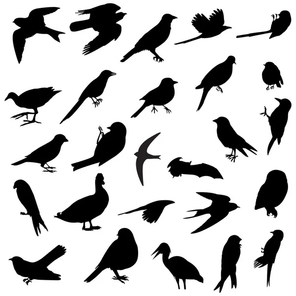 Siluetas de aves Imagen de archivo