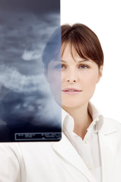 Retrato de uma jovem médica branca examinando um raio-X — Fotografia de Stock