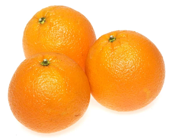 Três laranjas no fundo branco — Fotografia de Stock
