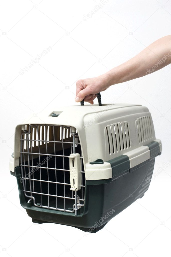 One hand holding a pet carrier
