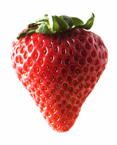 Eine Erdbeere Auf Weißem Hintergrund — Stockfoto