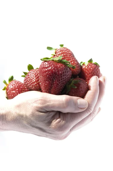Eine Handvoll Erdbeeren — Stockfoto