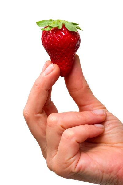 Hand hält eine Erdbeere — Stockfoto
