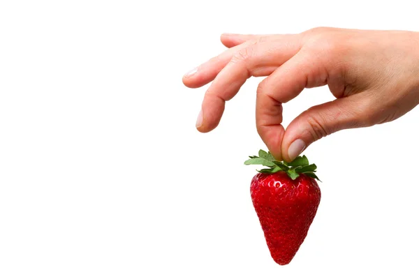 Hand som håller en jordgubbe — Stockfoto