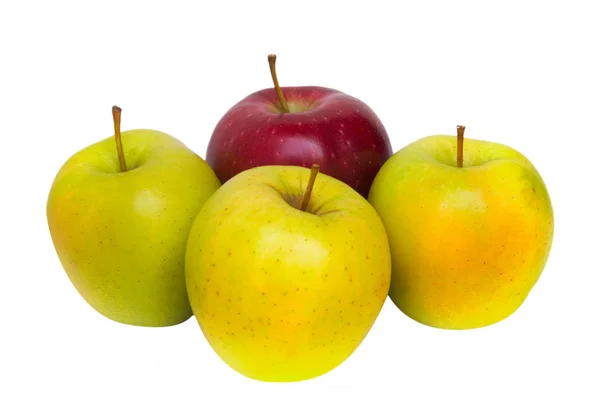 Одно красное яблоко и три желтых яблока — стоковое фото