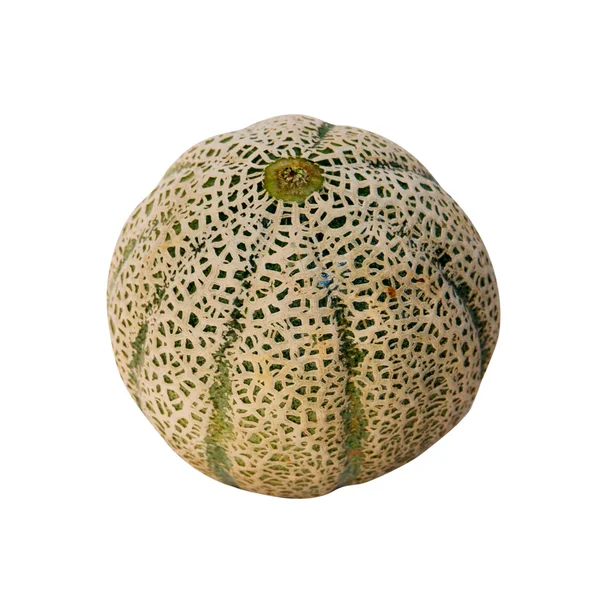 Jeden meloun — Stock fotografie