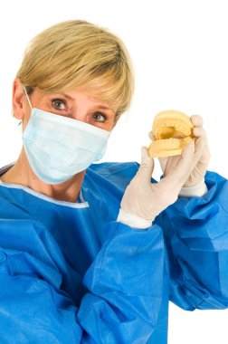 Dentist holding a mold of denture clipart