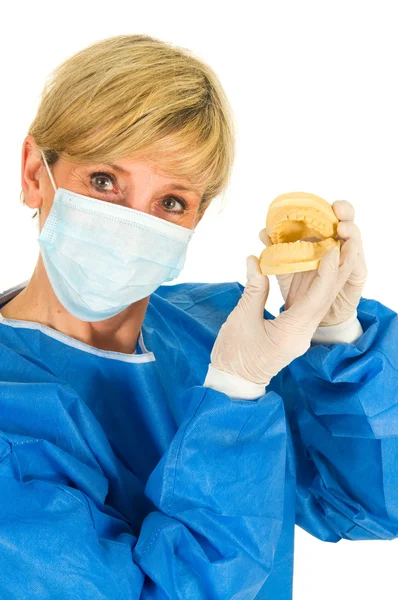 Dentista segurando um molde de dentadura — Fotografia de Stock
