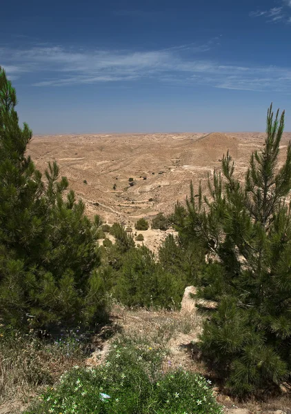 Vista do deserto 3 — Fotografia de Stock