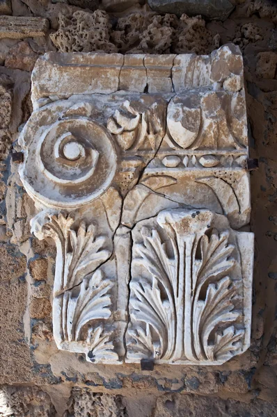 카르타고 튀니지에서 장식의 — 스톡 사진