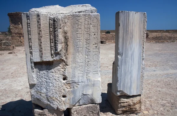 Ruinen von Karthago, Thunfisch — Stockfoto