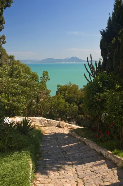 Belle Vue Sur Baie Mer Tunisie — Photo