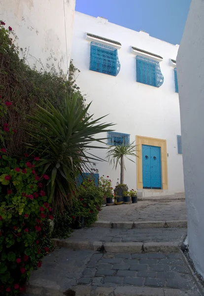 Αρχιτεκτονική Της Τυνησίας — Φωτογραφία Αρχείου