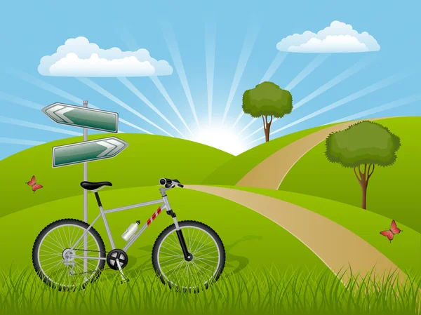 Paisaje de verano con bicicleta — Vector de stock