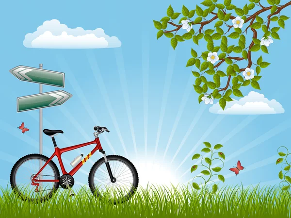 Paisagem Verão Com Uma Bicicleta Ilustração Vetorial — Vetor de Stock