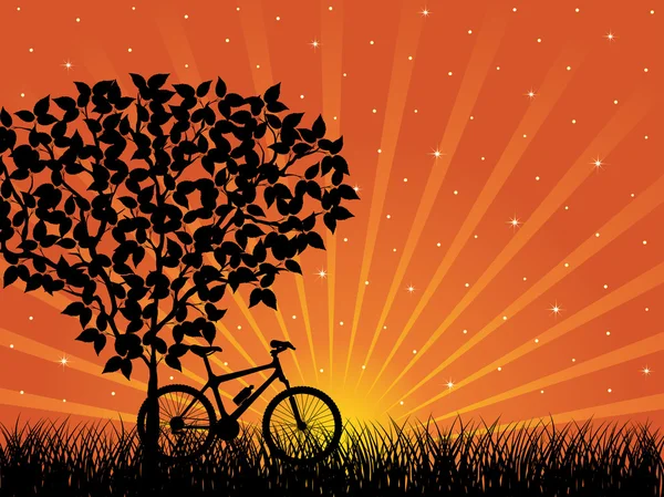 Ландшафт восхода солнца с велосипедом — стоковый вектор
