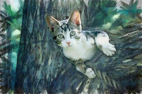 Γάτα, ένα δέντρο — Φωτογραφία Αρχείου