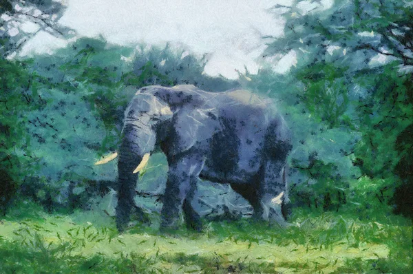 Буш Башер (Слон) ) — стоковое фото