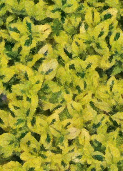 Διαφοροποιημένα Carmel αναρριχητικό φυτό Fuzzy φόντο (Λαδι σε Καμβα - Μονέ — Φωτογραφία Αρχείου