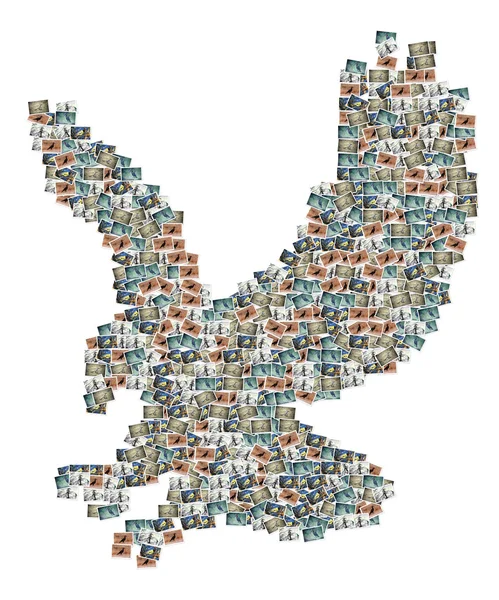 Collage d'images d'aigle — Photo