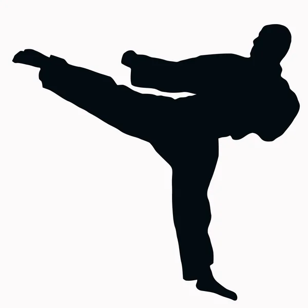 Silhouette Sport Karate Kick Isolato Immagine Nera Sfondo Bianco — Vettoriale Stock