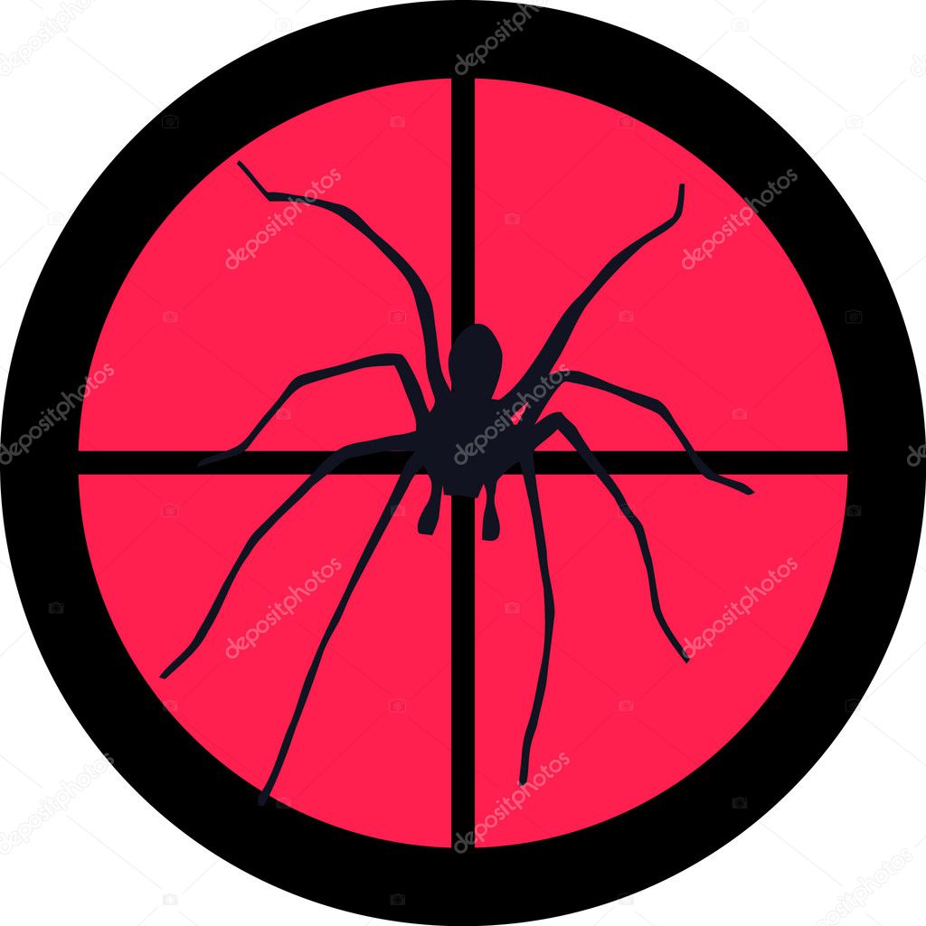 Spider in the crosshair of a gun's telescope. Can be symbolic for need of protection, being tired of, intolerance or being under investigation.