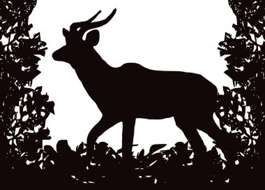 Kudu (Koedoe) in Isolated Bush Frame Vector clipart