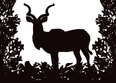 Kudu (Koedoe) in Isolated Bush Frame Vector clipart