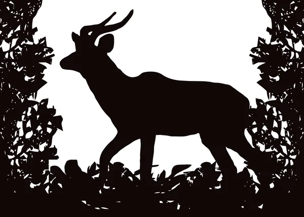 Kudu (Koedoe) in Isolated Bush Frame Vector — Stock Vector