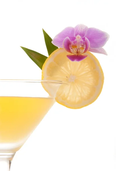 Fruktig martini — Stockfoto