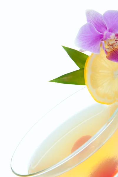 Peach martini cocktail — kuvapankkivalokuva