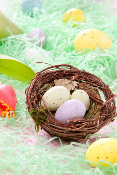 Coloridos Huevos Pascua Pintados Color Verde Rosa Amarillo Nido Los —  Fotos de Stock