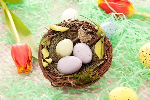 Huevos de fiesta de Pascua —  Fotos de Stock