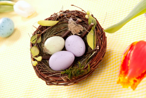 Pasen eieren in vogelnest — Stockfoto