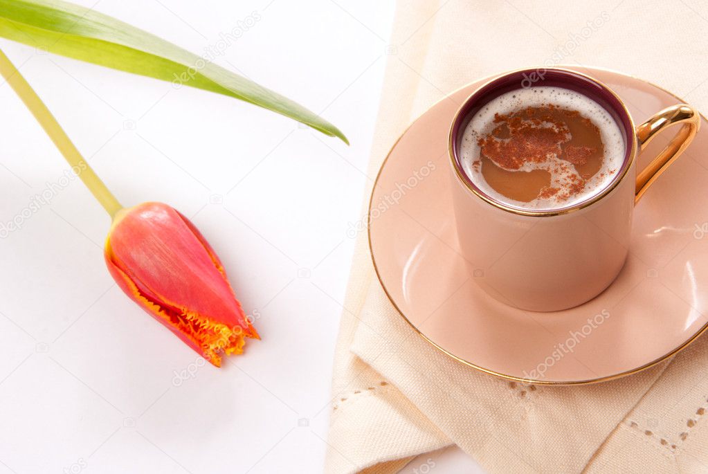 Cappuccino or espresso coffee in a cup with frothed milk and spring tulip flower on a white background