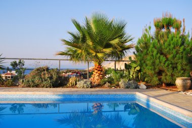 Akdeniz lüks Yüzme Havuzu Yemyeşil tropik bitkiler, palmiye ve çam tarafından Kıbrıs'sabahları mavi gökyüzü deniz ve gökyüzü arka plan üzerinde çevrili