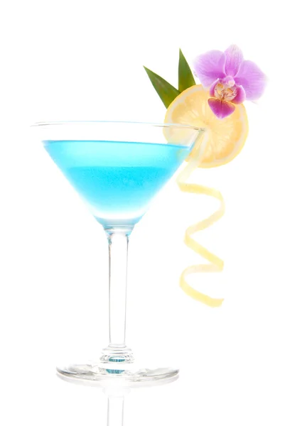 鸡尾酒用伏特加 白蔓越莓汁 柠檬轮 菠萝叶 兰花马提尼酒杯被隔绝在白色背景上的蓝色 Lagood — 图库照片