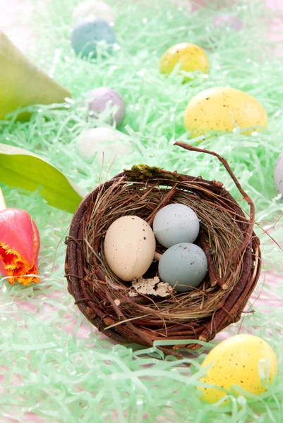 Påsk Målade Ägg Sammansättning Birds Nest Dekorerad Med Våren Tulpaner — Stockfoto