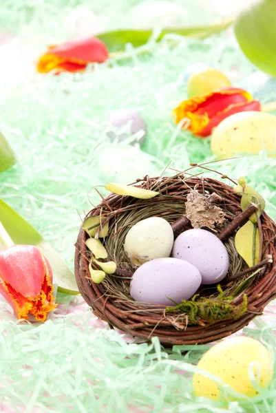 Pasen geschilderd kleurrijke eieren samenstelling — Stockfoto